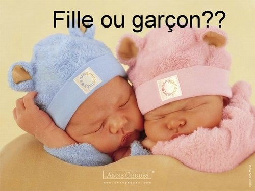 Fille Ou Garcon
