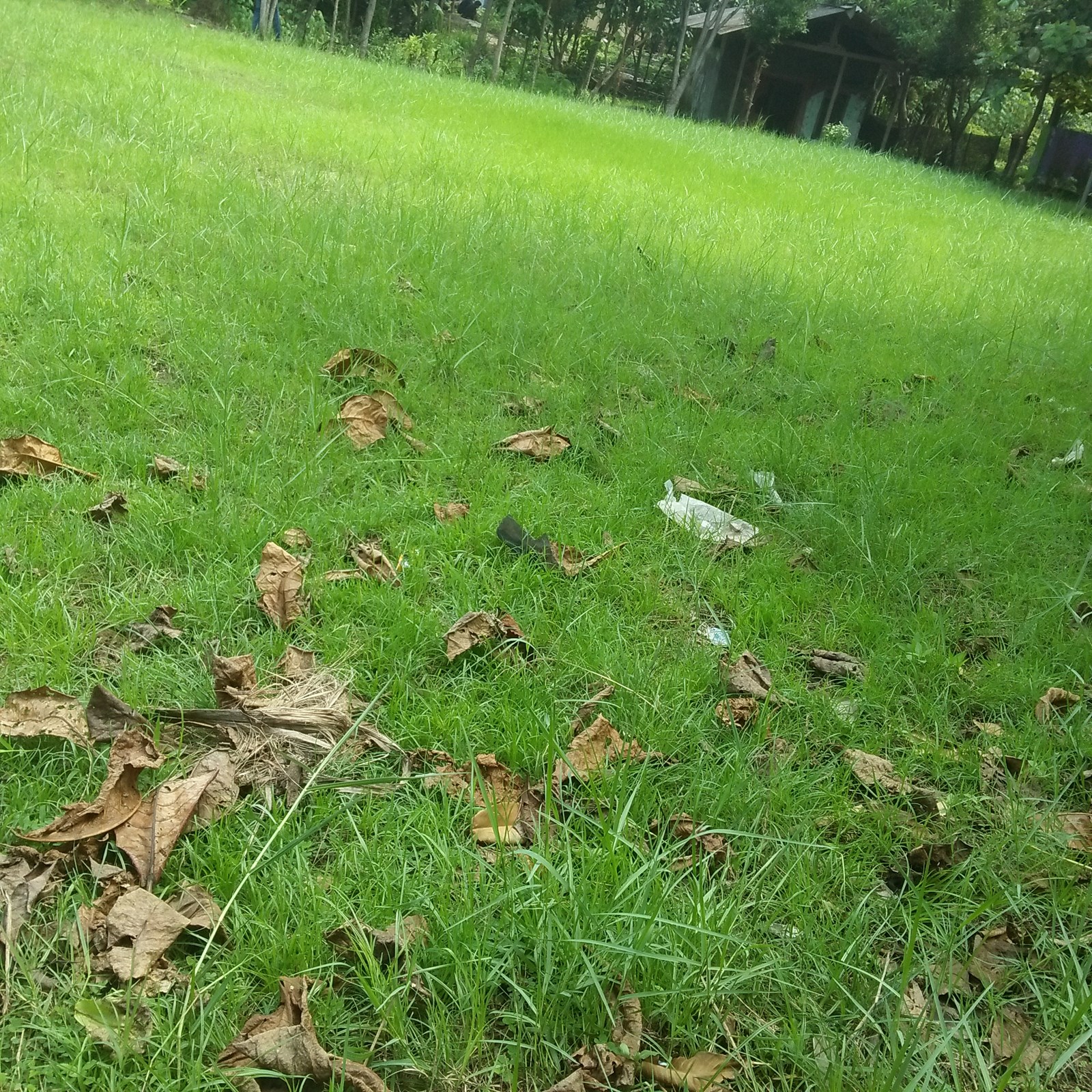 Seberapa  Manjakah Kamu