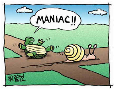 turtle v snail