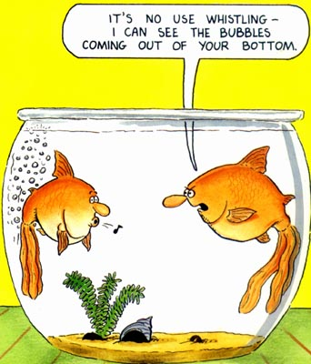 Bubbles