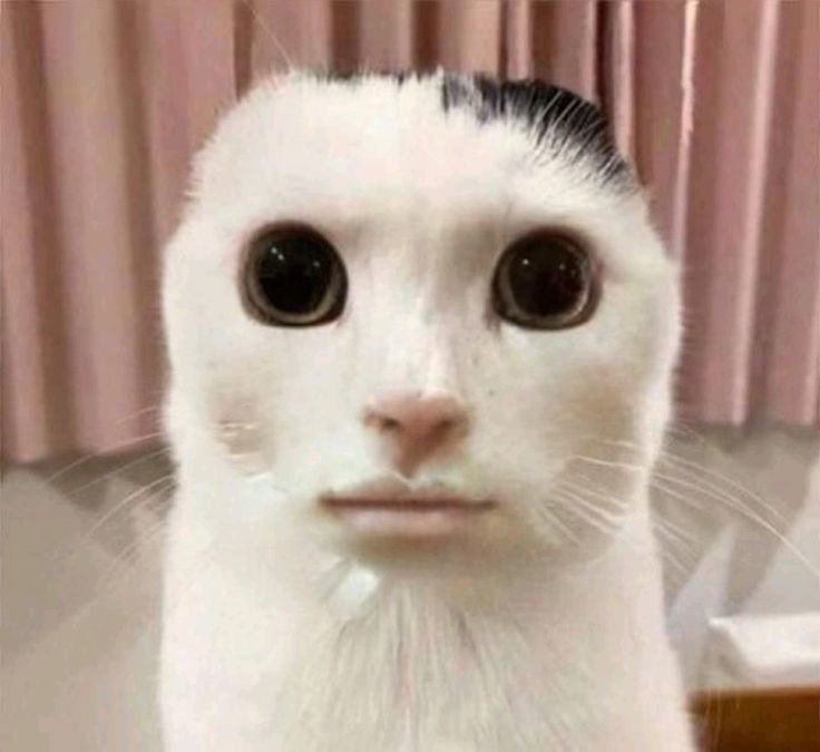 Apakah kamu pick me atau tidak?