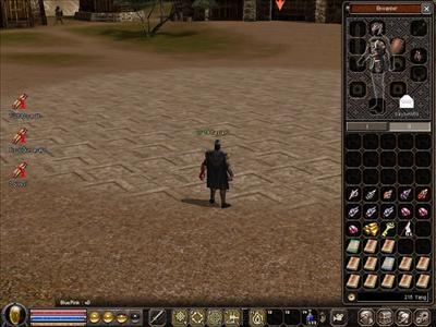 Metin2