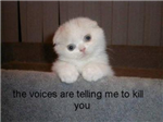 Lolcats