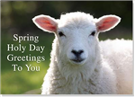 Holydaycards.Com