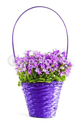 .•'´¯)¸.•'´ ) ¸.•'´¯)¸.•'´¯) GÜNAYDIN ¸.•'´¯)¸.•'´¯)¸.•'´¯)¸.•'´¯)