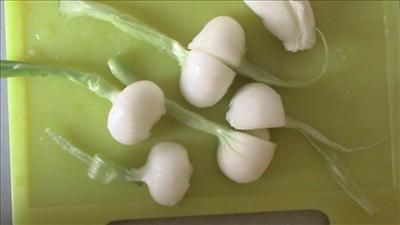Spectateurs D'émissions Culinaires, Cuisinez Vous 