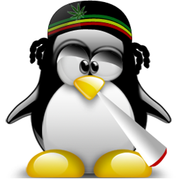 rasta