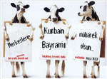 Bayram E.Kart