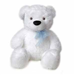 Which Teddy Bear Are You Going To Send In Surprise