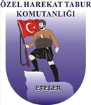 Efeler