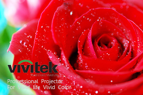 RED ROSE ; Charmimg of LOVE