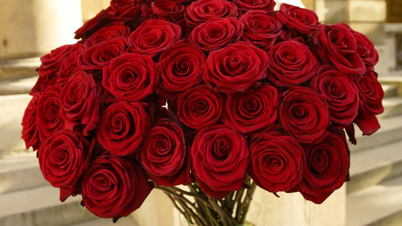 Hangi Çiçeksin