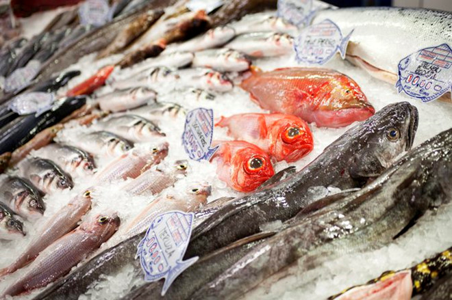 Cá Tươi Chết Tốt Hơn Đông Lạnh ?