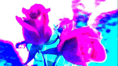 FLOWER DIGITAL ART BY SHANE L MILLER