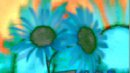 FLOWER DIGITAL ART BY SHANE L MILLER