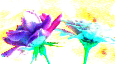 FLOWER DIGITAL ART BY SHANE L MILLER
