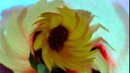 FLOWER DIGITAL ART BY SHANE L MILLER