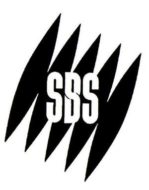 Senin Sbs Puanın Kaç???
