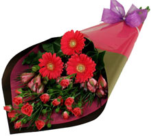 flower 16