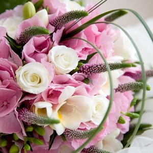 flower 19