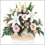 flower 17