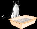 Cats Cadeau