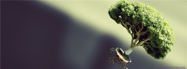 Facebook Covers