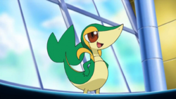 Snivy