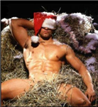 ♪♫•*¨*•.¸¸ ♥ Christmas ♥ ¸¸.•*¨*•♫♪