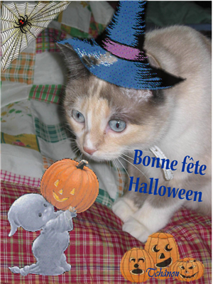 VANILLE Halloween
