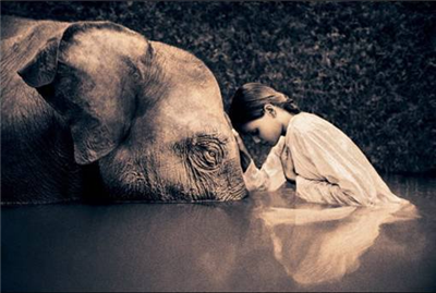 Elephant-enfant