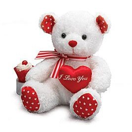 Love Teddy