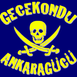 Hangi Takımın Daha Çok Taraftarı Var?