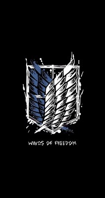 Siapa kmu di attack on titan? (cewee) 