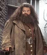 Hangi Harry Potter Karakterisin?