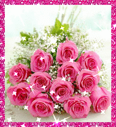 Specail Roses For You