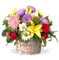 i fiori sono belli come
