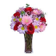 i fiori sono belli come