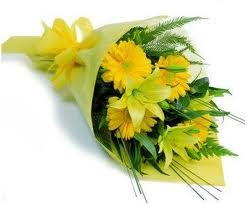 i fiori sono belli come