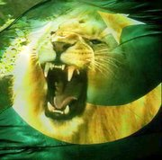 lion
