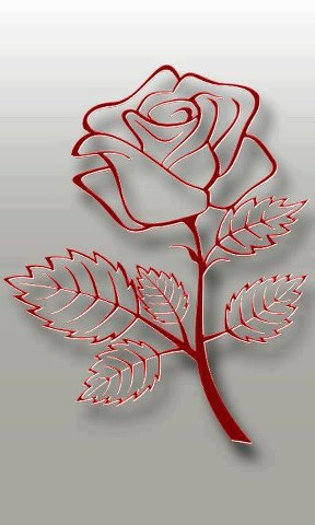 rose