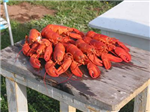 Gifts From Prince Edward Island