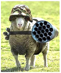 Secret Weapon