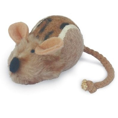 Cat Mouse