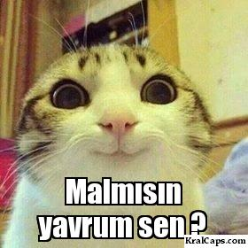 Malmısın Testi :D 