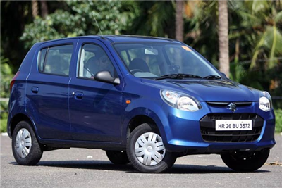 alto 800