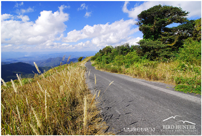 อยู่ในหุบเขา