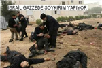 Mutlu Yıllar