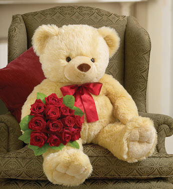 cute teddy 