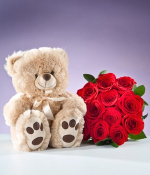 TEDDY